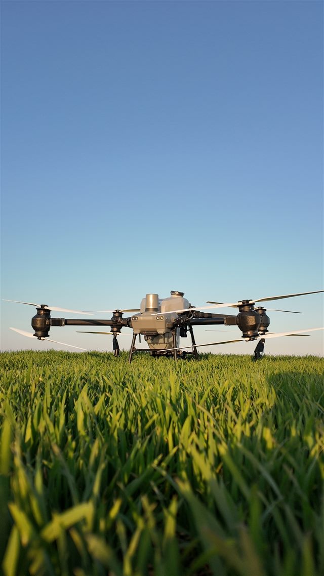 Drone flying above a green crop
