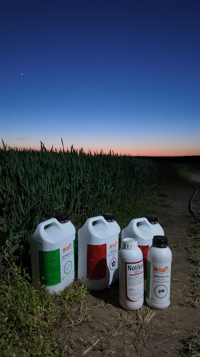 Products in the field during evening preparations