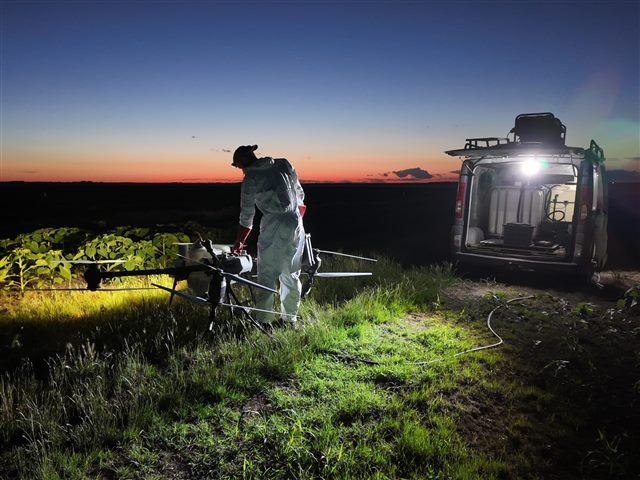 Preparing a drone beside low-growing crops